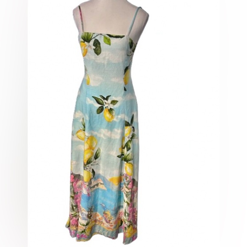 Paper Heart Maxi Dress Floral Fruit Tropical Beach Limoncello Anthropologie